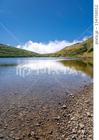 白馬大池と青空 白馬大池~北アルプス白馬岳縦走登山 白馬大池と青空 白馬大池~北アルプス白馬岳縦走登山 134708012