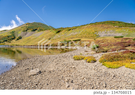 白馬大池から見上げる船越の頭　白馬大池～北アルプス白馬岳縦走登山 134708015