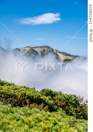 雪倉岳と雲海　白馬大池～北アルプス白馬岳縦走登山 134708024