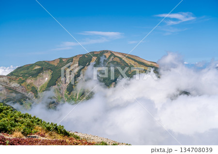 雪倉岳と雲海　白馬大池～北アルプス白馬岳縦走登山 134708039