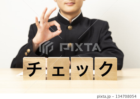 「チェック」と書かれたブロックとOKサインをする男子学生 「チェック」と書かれたブロックとOKサインをする男子学生 134708054