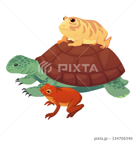Cute sea turtle with frogs, vector cartoon tortoise with toads, reptile animals, exotic pet reptile, terrarium animals 134708340