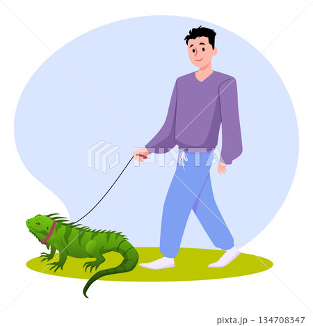 A man walks an exotic green iguana on a leash. Tropical animal, pet. 134708347