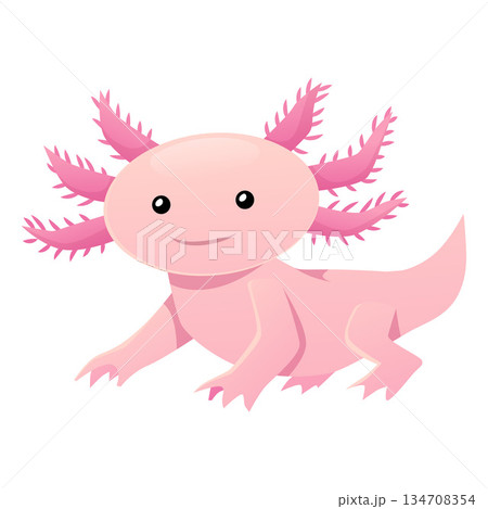 Cute pink Axolotl vector flat icon, exotic aquarium pet, salamander marine friendly monster isolated, cartoon amphibian 134708354