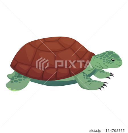 Green turtle with a brown shell, cute children's character, side view. 134708355