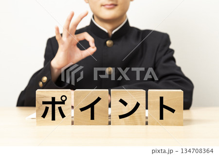 「ポイント」と書かれたブロックとOKサインをする男子学生 「ポイント」と書かれたブロックとOKサインをする男子学生 134708364