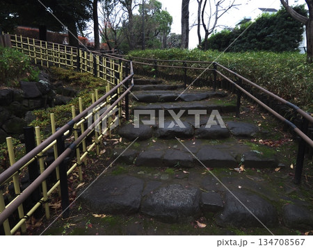 蘇峰公園の日本庭園に続く石畳の階段と竹垣 苔むした情緒溢れる冬の散策路風景 134708567