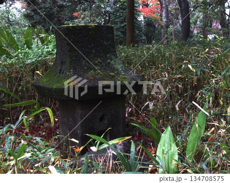 蘇峰公園の紅葉と笹に囲まれて佇む古い石祠 苔が刻む時の流れを感じる和の風景素材 蘇峰公園の紅葉と笹に囲まれて佇む古い石祠 苔が刻む時の流れを感じる和の風景素材 134708575