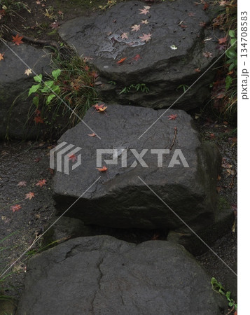 雨に濡れた日本庭園の石畳と散った紅葉の落ち葉 蘇峰公園で捉えた冬の静謐な風景素材 雨に濡れた日本庭園の石畳と散った紅葉の落ち葉 蘇峰公園で捉えた冬の静謐な風景素材 134708583