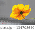 鮮やかな黄色が映えるキバナコスモスのイラスト 背面から捉えた花のデジタルアート 134708640