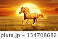 太陽のような明るさや行動力、力強さを象徴した馬 134708682