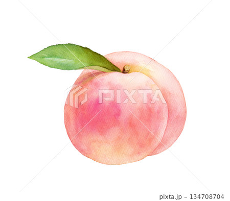 ジューシーな桃の水彩イラス　白桃（透過背景） 134708704