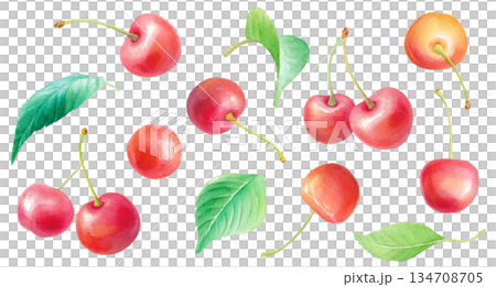 Watercolor cherry and leaf illustration set. Set of parts 134708705