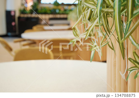 Spider plant leaves creating vibrant green accent in modern cafe interior 134708875