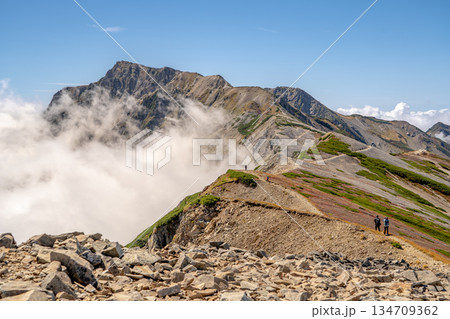 小蓮華山の山頂から見る白馬岳と雲海 白馬大池~北アルプス白馬岳縦走登山 小蓮華山の山頂から見る白馬岳と雲海 白馬大池~北アルプス白馬岳縦走登山 134709362