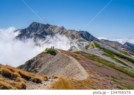 小蓮華山の山頂から見る白馬岳と雲海 白馬大池~北アルプス白馬岳縦走登山 小蓮華山の山頂から見る白馬岳と雲海 白馬大池~北アルプス白馬岳縦走登山 134709374
