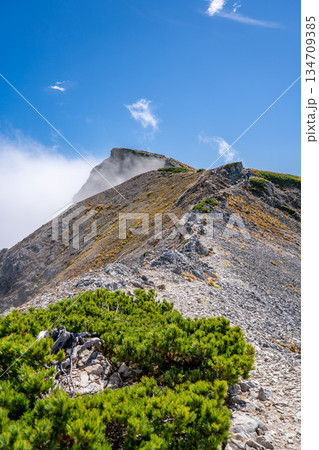白馬岳の山頂（三国境からの登り）白馬大池～北アルプス白馬岳縦走登山　 134709385