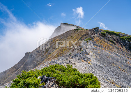 白馬岳の山頂(三国境からの登り)白馬大池~北アルプス白馬岳縦走登山 白馬岳の山頂(三国境からの登り)白馬大池~北アルプス白馬岳縦走登山 134709386