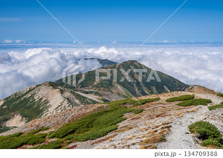 白馬岳から見る雪倉岳と鉢ヶ岳　白馬大池～北アルプス白馬岳縦走登山　 134709388