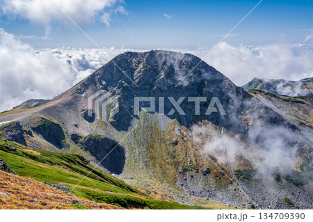 白馬岳から見る旭岳　白馬大池～北アルプス白馬岳縦走登山　 134709390