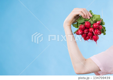 Woman hand holding raddish 134709439