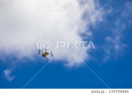 沖縄 オキナワ おきなわ 134709484