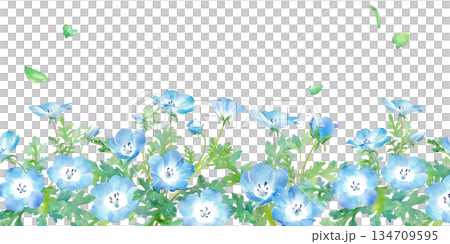 春花：粉蝶花水彩插畫，春季底部裝飾邊框背景 134709595