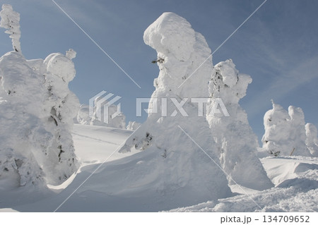 樹氷に覆われた樹氷 134709652