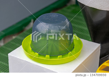 Poultry Drinker Water 134709930