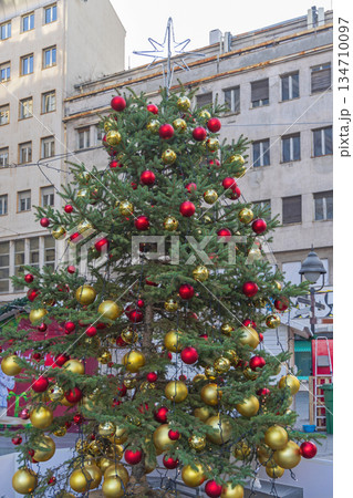 Christmas Tree City Centre Christmas Tree City Centre 134710097