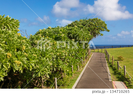 万座毛 日本 ジャパン 134710265