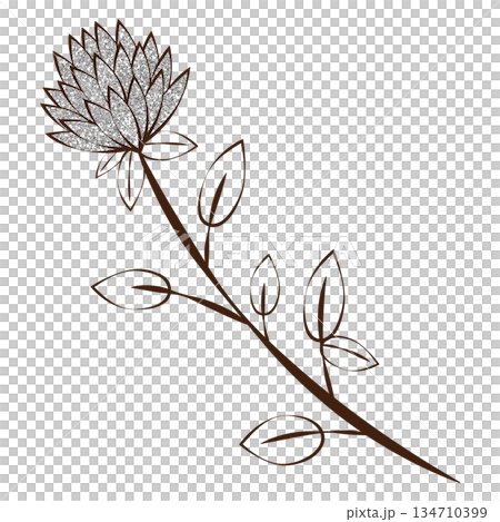 插圖素材植物銀 插圖素材植物銀 134710399