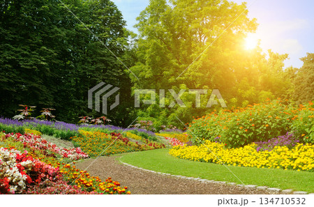 Scenic walking path through a lush green park under bright golden sunlight. 134710532