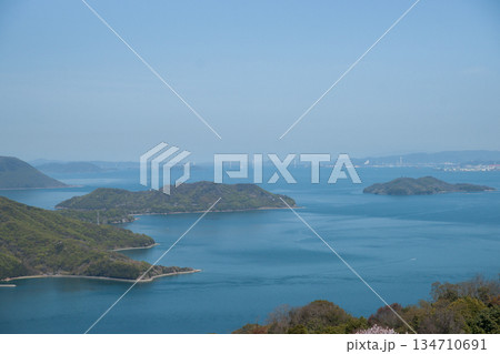 紫雲出山山頂展望台の桜（ソメイヨシノ） 134710691