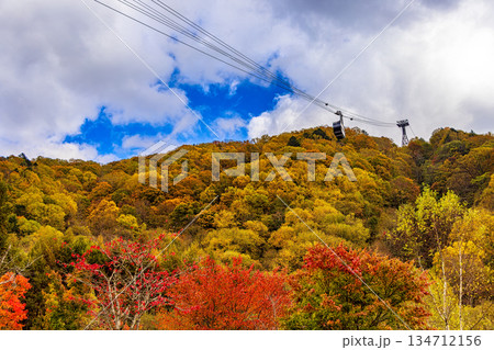 新穂高 (10月 紅葉) 新穂高 (10月 紅葉) 134712156