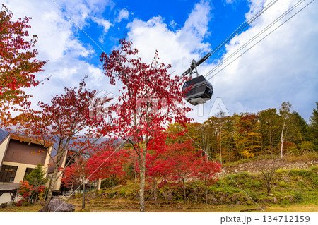 新穂高 (10月 紅葉) 新穂高 (10月 紅葉) 134712159