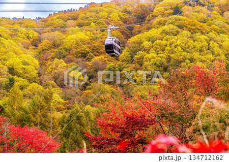 新穂高 (10月 紅葉) 新穂高 (10月 紅葉) 134712162