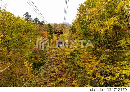 新穂高　(10月　紅葉) 134712170