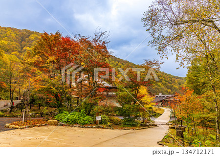 新穂高 (10月 紅葉) 新穂高 (10月 紅葉) 134712171