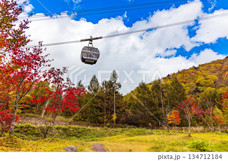 新穂高　(10月　紅葉) 134712184