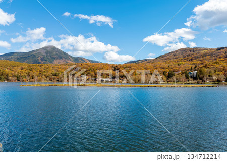 紅葉の白樺湖　(10月　紅葉) 134712214