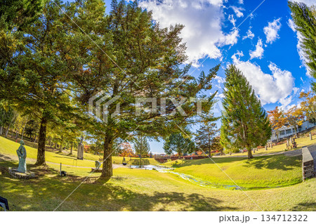 蓼科湖の紅葉　(10月　晴れ) 134712322