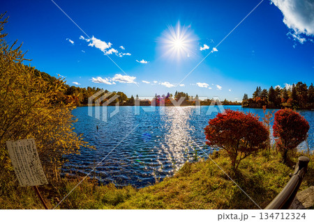 蓼科湖の紅葉 (10月 晴れ) 蓼科湖の紅葉 (10月 晴れ) 134712324