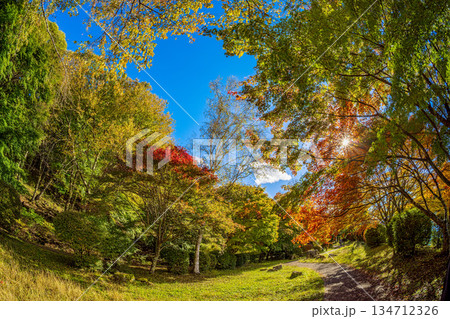 蓼科湖の紅葉 (10月 晴れ) 蓼科湖の紅葉 (10月 晴れ) 134712326