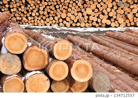 Firewood logs stacked in the street. Industrial firewood harvesting in Russia for heating and construction, an environmentally friendly fuel. Environmental protection concept, rural industriousness 134712557