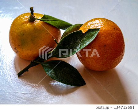 Two tangerines with beautiful green leaves against the light 134712681
