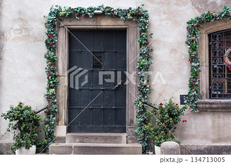 Old vintage metalic door entwined with a plant Old vintage metalic door entwined with a plant 134713005