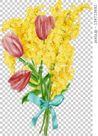 A watercolor painting depicting a bouquet of yellow mimosas and pink tulips A watercolor painting depicting a bouquet of yellow mimosas and pink tulips 134713692