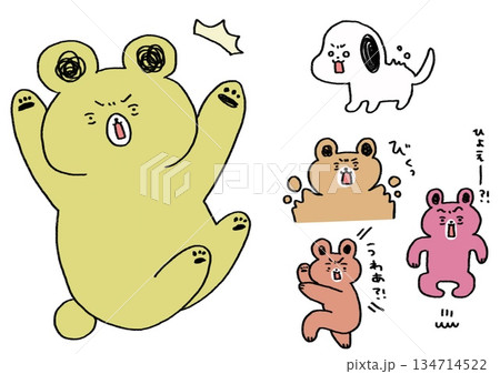 驚くクマ本さん詰め合わせ(カラー) 134714522