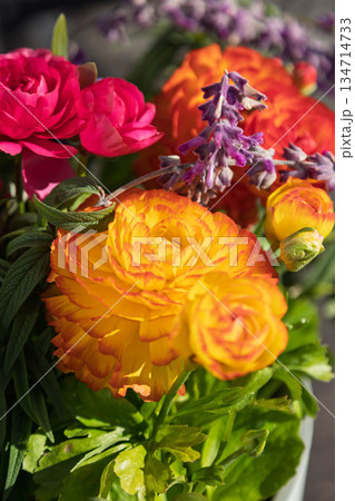 ラナンキュラスの寄せ植え 134714733